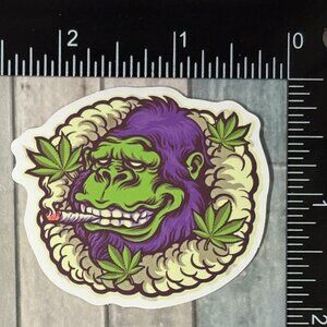 🌀10/$10🌀 Psychedelic 420 Reusable Waterproof Vinyl Sticker Decal